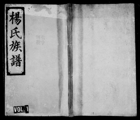 湖南杨氏向氏族谱-杨氏四修族谱 [7卷,首2卷].pdf电子版插图1