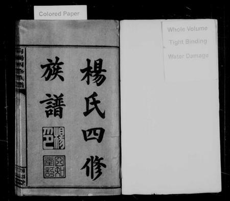 湖南杨氏向氏族谱-杨氏四修族谱 [7卷,首2卷].pdf电子版插图2