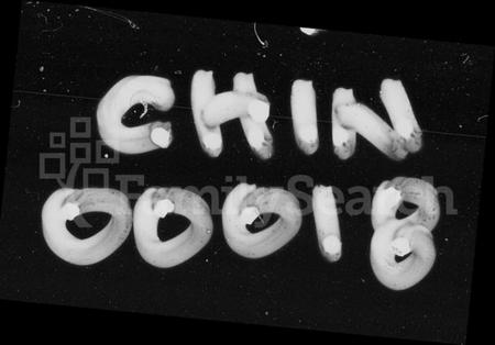 湖南姚氏族谱-三角门姚氏支谱 [3卷,首2卷,末1卷].pdf电子版插图1