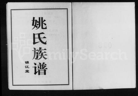 湖南姚氏族谱-姚氏族谱.pdf电子版插图1