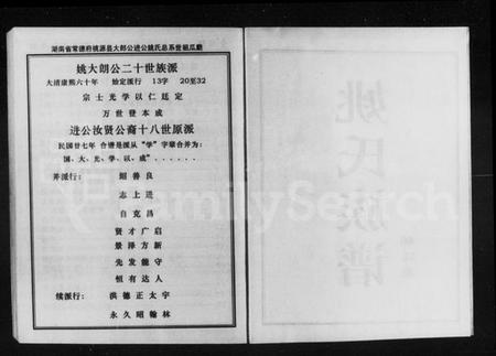 湖南姚氏族谱-姚氏族谱.pdf电子版插图2