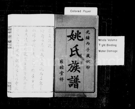 湖南姚氏族谱-姚氏族谱 [8卷,含首1卷].pdf电子版插图2