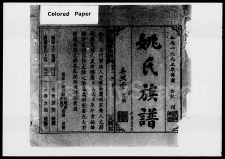 湖南姚氏族谱-姚氏续修族谱 [18卷,首3卷].pdf电子版插图2