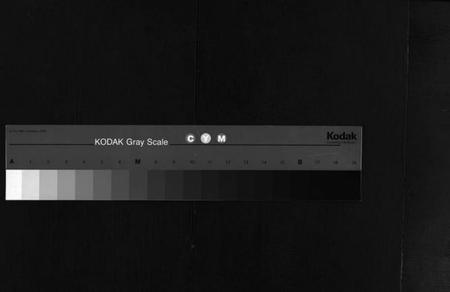 湖南姚氏族谱-邵陵姚氏族谱[20卷,首末各1卷].pdf电子版