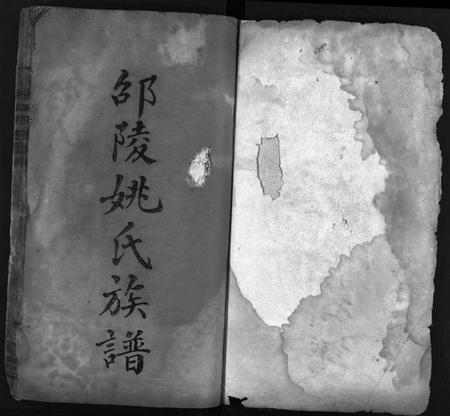 湖南姚氏族谱-邵陵姚氏族谱[20卷,首末各1卷].pdf电子版插图2