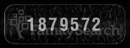 湖南叶氏族谱-叶氏二修族谱 [15卷,及卷首].pdf电子版