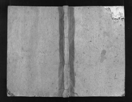 湖南叶氏族谱-叶氏四修族谱 [不分卷].pdf电子版插图1