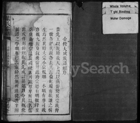 湖南叶氏族谱-叶氏宗谱 [卷数不明].pdf电子版插图2