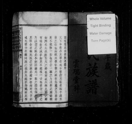 湖南叶氏族谱-叶氏族谱 [9卷,及卷首末].pdf电子版插图3