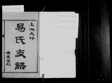 湖南易氏族谱-上湘大坪易氏支谱 [3卷,首3卷].pdf电子版插图2