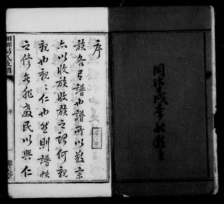 湖南易氏族谱-上湘大坪易氏支谱 [3卷,首3卷].pdf电子版插图4