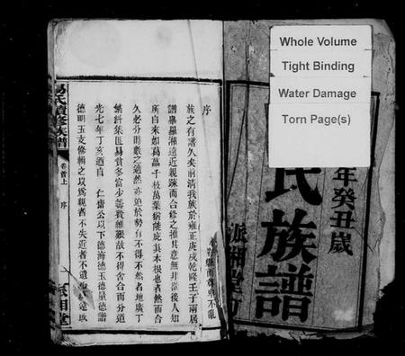 湖南易氏族谱-易氏续修族谱 [23卷,首3卷].pdf电子版插图3