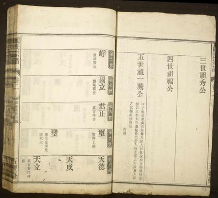 江西龙氏族谱-龙氏宗谱[卷数不详].pdf电子版插图2