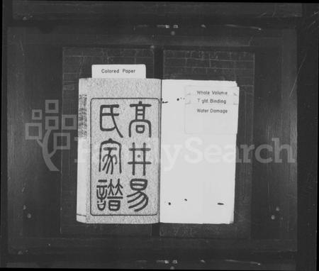 湖南易氏族谱-高井易氏家谱 [30卷,首末各1卷].pdf电子版插图2