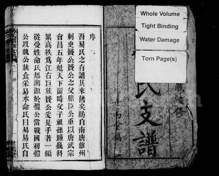 湖南易氏族谱-黑石铺易氏续修支谱 [10卷].pdf电子版插图2