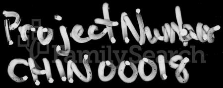 湖南银氏族谱-银氏七修族谱 [44卷,首3卷].pdf电子版插图4