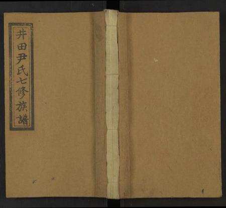 湖南尹氏族谱-仁风尹氏七修族谱 [27卷及卷首中末9卷].pdf电子版