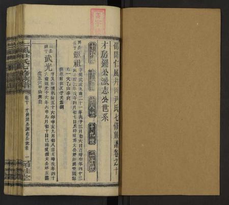 湖南尹氏族谱-仁风尹氏七修族谱 [27卷及卷首中末9卷].pdf电子版插图1