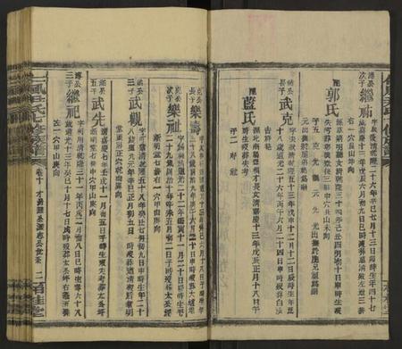 湖南尹氏族谱-仁风尹氏七修族谱 [27卷及卷首中末9卷].pdf电子版插图2