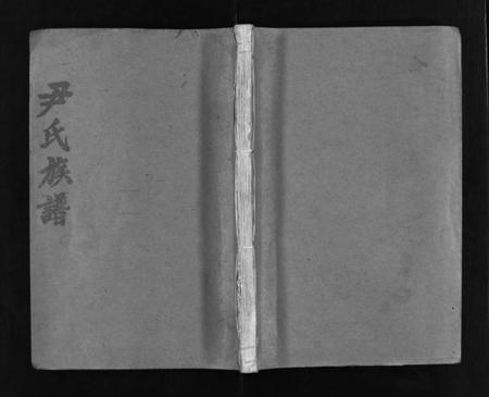 湖南尹氏族谱-尹氏族谱 [各房分卷,首9卷].pdf电子版插图1