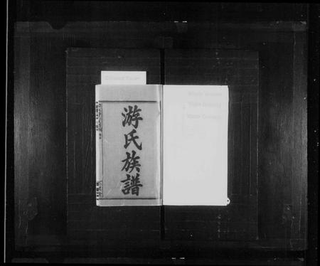 湖南游氏族谱-游氏族谱 [11卷,首3卷,末2卷].pdf电子版插图2