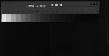 湖南余氏族谱-中湘余氏三修族谱 [10卷].pdf电子版