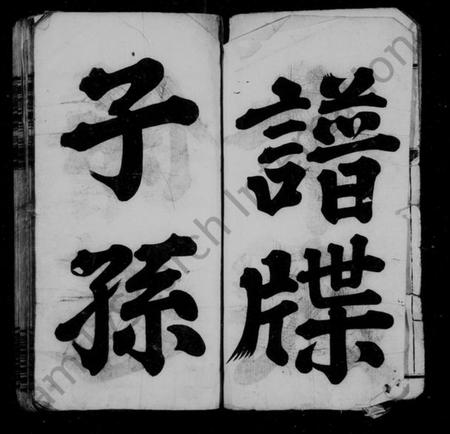 湖南余氏族谱-余氏族谱 [24卷,首12卷,及卷末].pdf电子版插图5