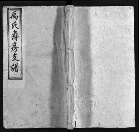 湖南禹氏族谱-禹氏寿房支谱 [14卷,首4卷,末1卷].pdf电子版插图1