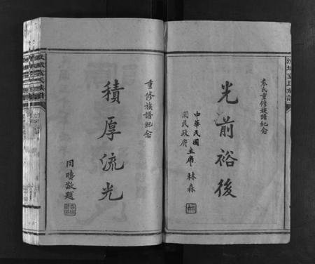 湖南袁氏族谱-汝城袁氏族谱 [16卷].pdf电子版插图3