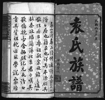 湖南袁氏族谱-潙宁袁家河袁氏族谱 [23卷,首末各1卷].pdf电子版插图2