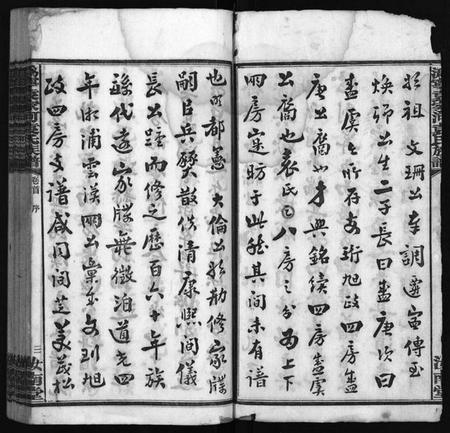 湖南袁氏族谱-潙宁袁家河袁氏族谱 [23卷,首末各1卷].pdf电子版插图4