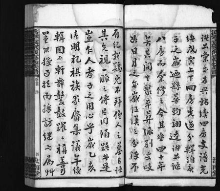 湖南袁氏族谱-潙宁袁家河袁氏族谱 [23卷,首末各1卷].pdf电子版插图5