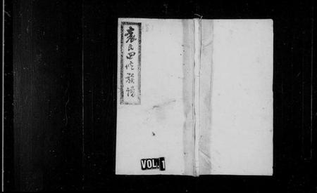 湖南袁氏族谱-益阳袁氏四修族谱 [上编9卷,下编18卷,及卷首].pdf电子版插图1