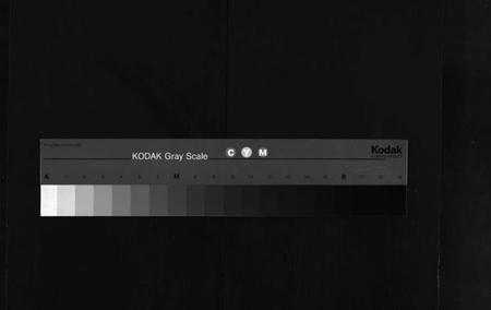 江西罗氏族谱-棠阴罗氏房谱[残4卷].pdf电子版