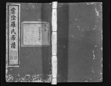 江西罗氏族谱-棠阴罗氏房谱[残4卷].pdf电子版插图1