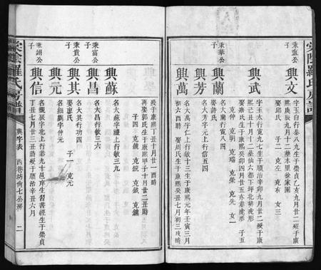 江西罗氏族谱-棠阴罗氏房谱[残4卷].pdf电子版插图3