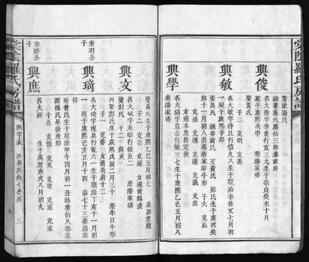 江西罗氏族谱-棠阴罗氏房谱[残4卷].pdf电子版插图4