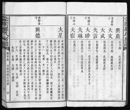 江西罗氏族谱-棠阴罗氏房谱[残4卷].pdf电子版插图5