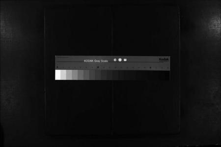 江西罗氏族谱-秀川罗氏四修族谱 [卷数不详].pdf电子版