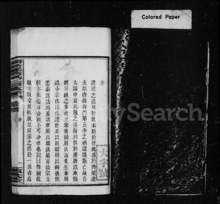 湖南袁氏族谱-袁氏支谱.pdf电子版插图3