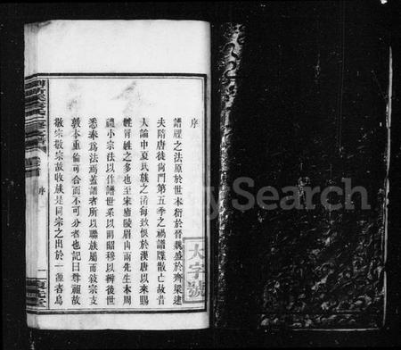 湖南袁氏族谱-袁氏支谱.pdf电子版插图4