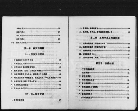 湖南袁氏族谱-袁氏族谱.pdf电子版插图2