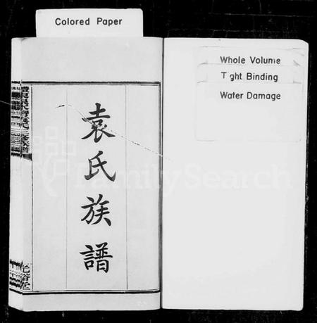 湖南袁氏族谱-袁氏族谱 [11卷,首末各3卷].pdf电子版插图2