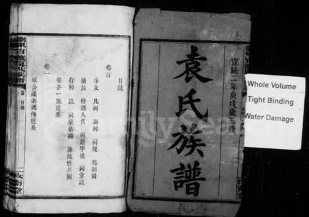 湖南袁氏族谱-袁氏族谱 [4卷,首1卷].pdf电子版插图2