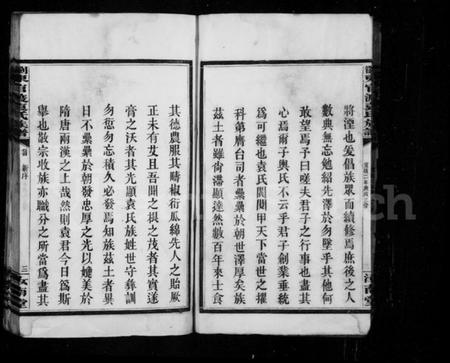 湖南袁氏族谱-袁氏族谱 [4卷,首1卷].pdf电子版插图5