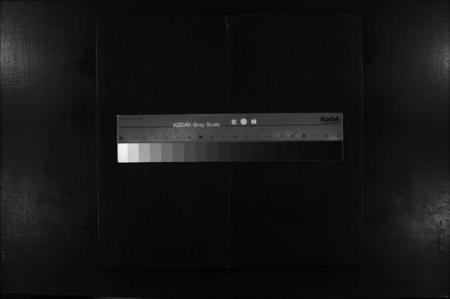 江西罗氏族谱-罗氏宗谱 [残卷].pdf电子版