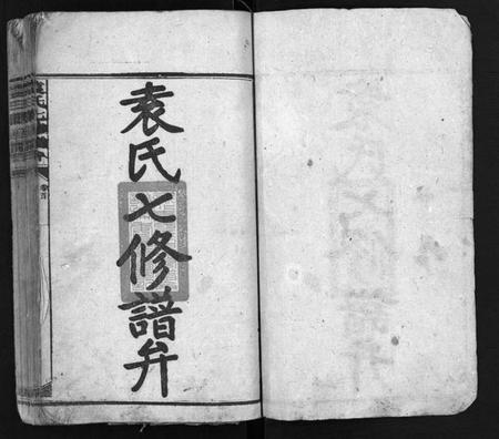 湖南袁氏族谱-袁氏七修谱弁 [12卷,首1卷].pdf电子版插图2