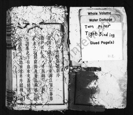 江西罗氏族谱-罗氏族谱 [5卷,及卷首].pdf电子版插图1