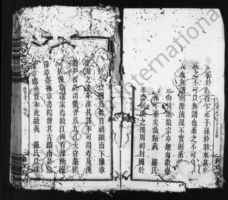 江西罗氏族谱-罗氏族谱 [5卷,及卷首].pdf电子版插图2