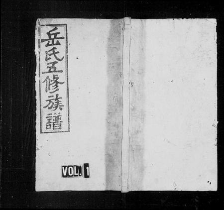 湖南岳氏族谱-岳氏五修族谱 [29卷,首4卷].pdf电子版插图1